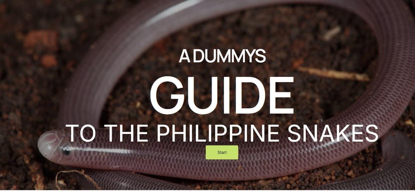 Identify Snakes in PH live site screenshot